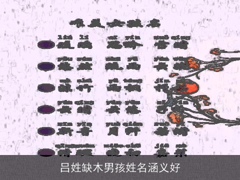 吕姓缺木男孩姓名涵义好