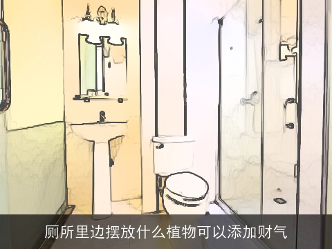厕所里边摆放什么植物可以添加财气