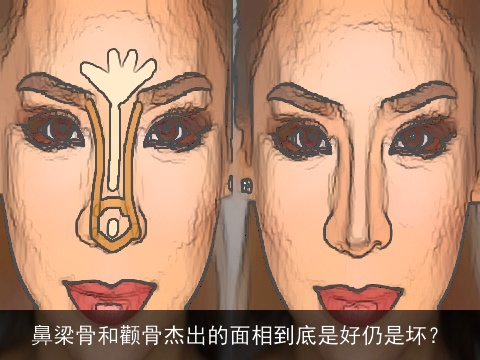 鼻梁骨和颧骨杰出的面相到底是好仍是坏？