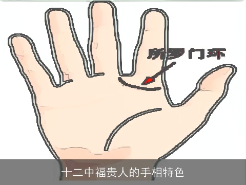 十二中福贵人的手相特色