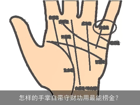 怎样的手掌自带守财功用最能捞金？