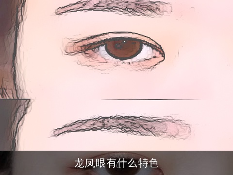 龙凤眼有什么特色