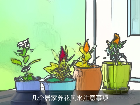 几个居家养花风水注意事项
