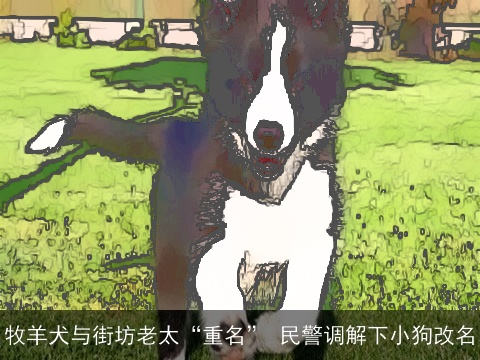 牧羊犬与街坊老太“重名” 民警调解下小狗改名