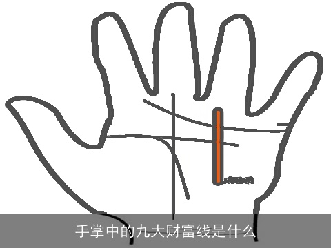 手掌中的九大财富线是什么