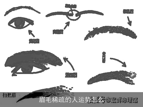 眉毛稀疏的人运势怎么
