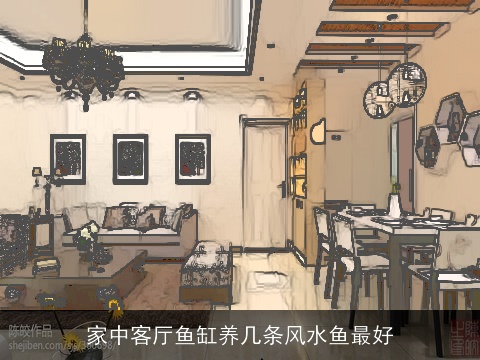 家中客厅鱼缸养几条风水鱼最好