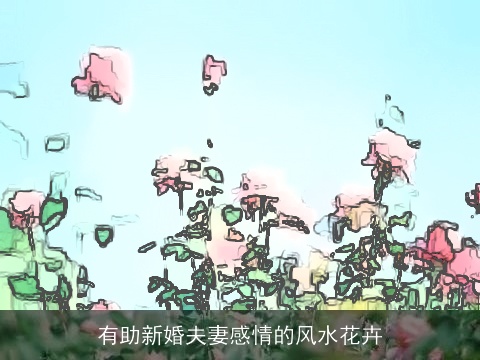 有助新婚夫妻感情的风水花卉