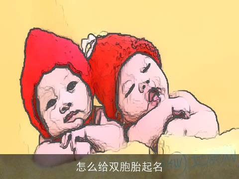 怎么给双胞胎起名