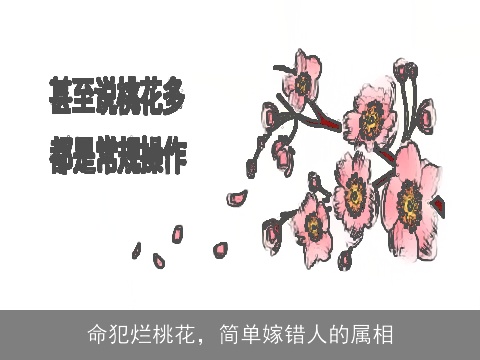 命犯烂桃花，简单嫁错人的属相