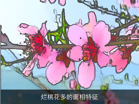 烂桃花多的面相特征