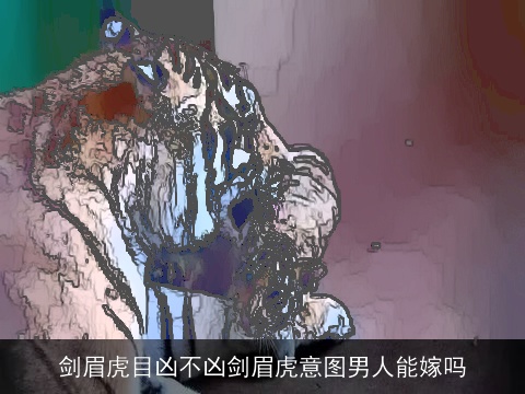 剑眉虎目凶不凶剑眉虎意图男人能嫁吗