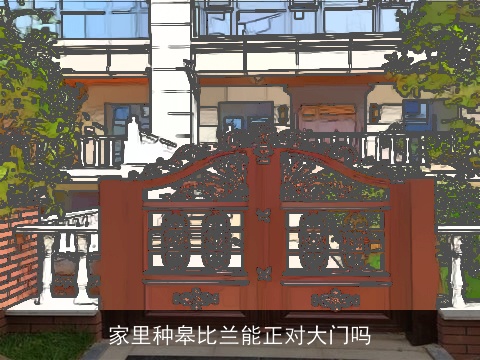 家里种皋比兰能正对大门吗