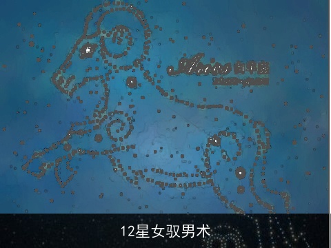 12星女驭男术