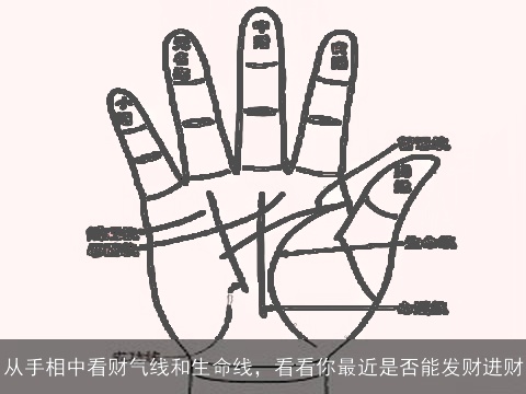 从手相中看财气线和生命线，看看你最近是否能发财进财
