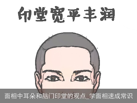 面相中耳朵和脑门印堂的观点_学面相速成常识