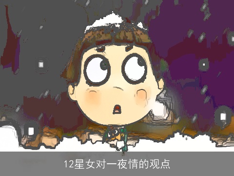 12星女对一夜情的观点
