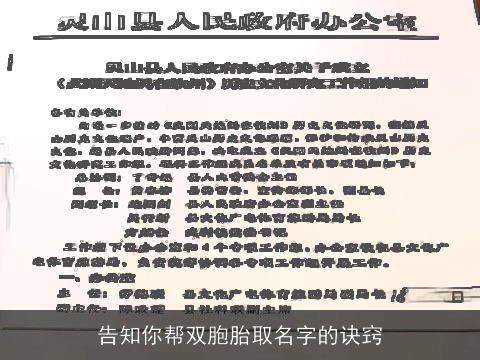 告知你帮双胞胎取名字的诀窍