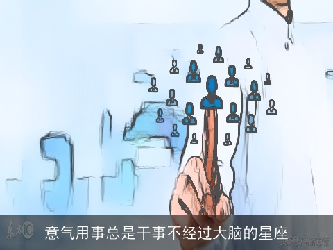 意气用事总是干事不经过大脑的星座