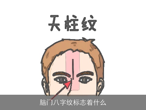 脑门八字纹标志着什么