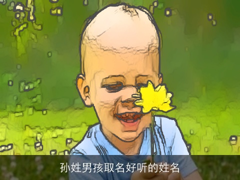 孙姓男孩取名好听的姓名