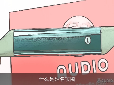 什么是姓名项圈