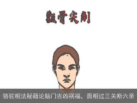 骆驼相法秘籍论脑门吉凶祸福，面相过三关断六亲