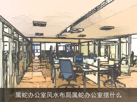 属蛇办公室风水布局属蛇办公室摆什么