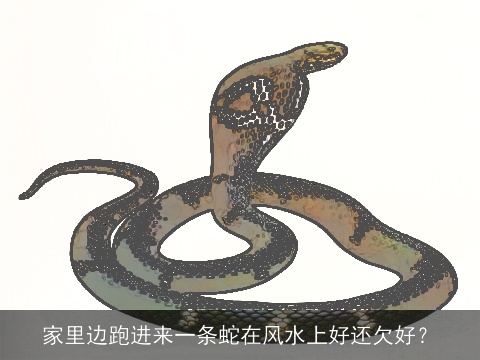 家里边跑进来一条蛇在风水上好还欠好？