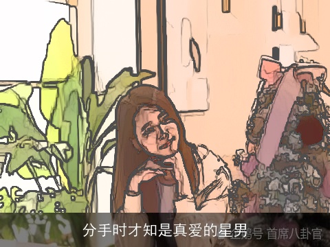 分手时才知是真爱的星男