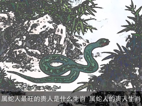 属蛇人最旺的贵人是什么生肖 属蛇人的贵人生肖