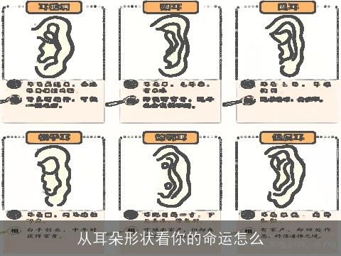 从耳朵形状看你的命运怎么