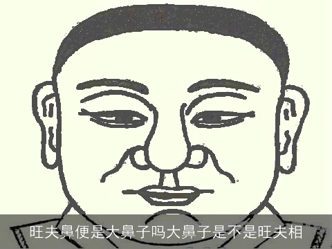 旺夫鼻便是大鼻子吗大鼻子是不是旺夫相