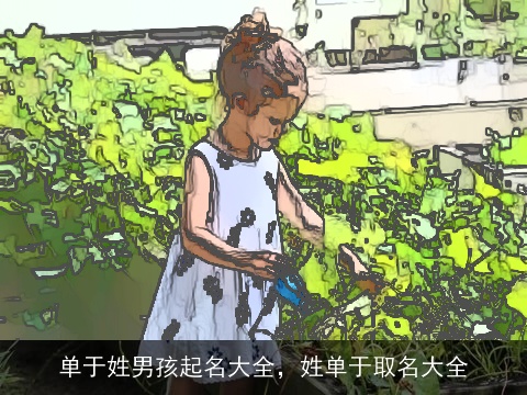 单于姓男孩起名大全，姓单于取名大全