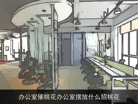 办公室催桃花办公室摆放什么招桃花