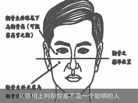 从面相上判别你是不是一个聪明的人