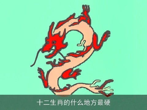 十二生肖的什么地方最硬