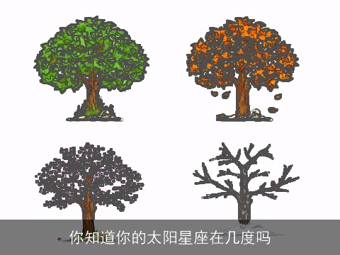 你知道你的太阳星座在几度吗