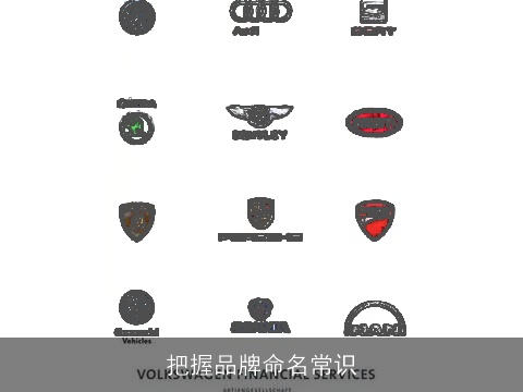 把握品牌命名常识