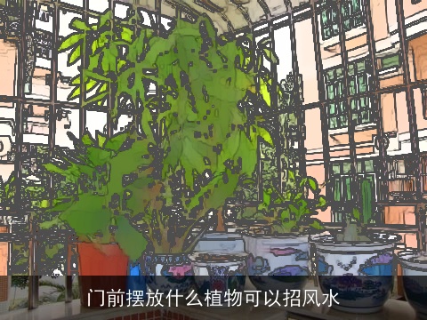 门前摆放什么植物可以招风水