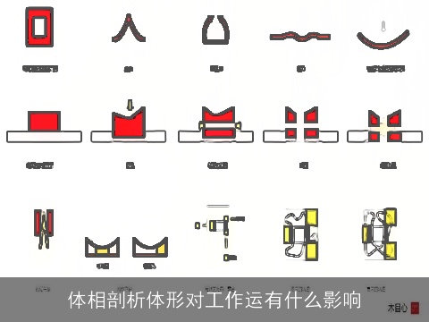 体相剖析体形对工作运有什么影响