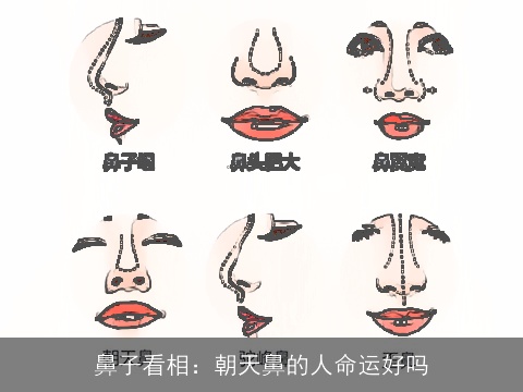 鼻子看相：朝天鼻的人命运好吗