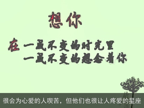 很会为心爱的人喫苦，但他们也很让人疼爱的星座