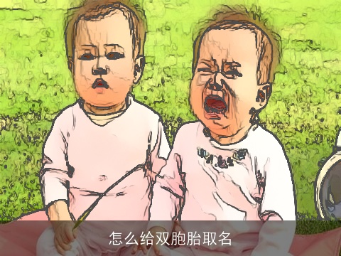 怎么给双胞胎取名