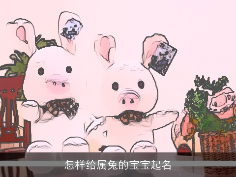 怎样给属兔的宝宝起名