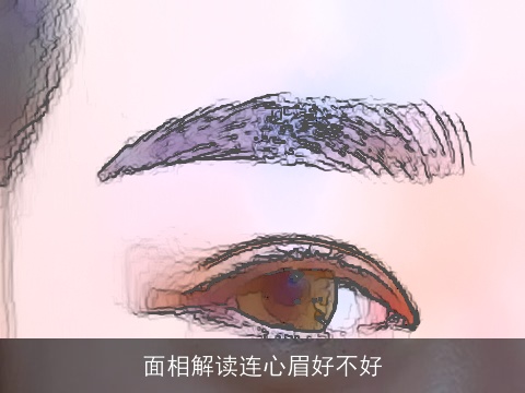 面相解读连心眉好不好