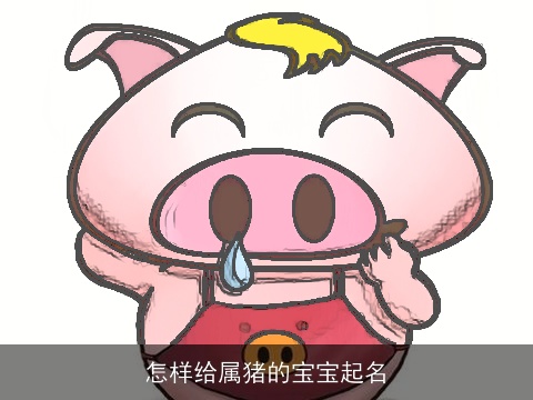 怎样给属猪的宝宝起名