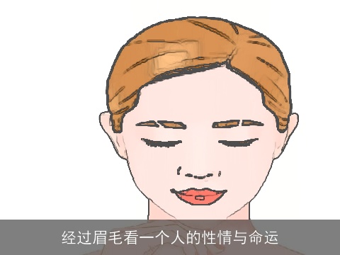 经过眉毛看一个人的性情与命运
