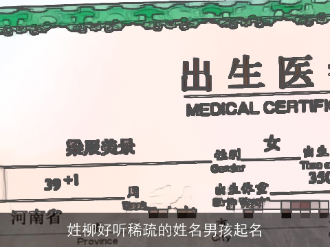 姓柳好听稀疏的姓名男孩起名