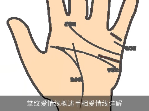 掌纹爱情线概述手相爱情线详解